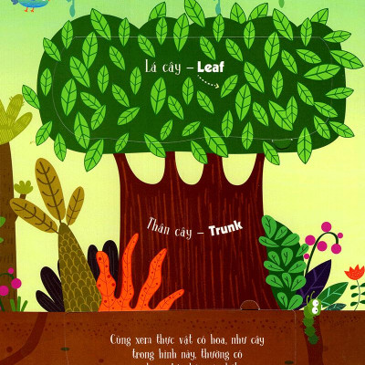 Sách Lift The Flap - Lật Mở Khám Phá - 100 Từ Đầu Tiên Về Thế Giới Thực Vật