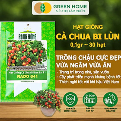Hạt Giống Cà Chua Bi Lùn Lai F1 GreenHome, Gói 0,1g~30 hạt, Dễ Trồng Quanh Năm, Trồng Chậu T41