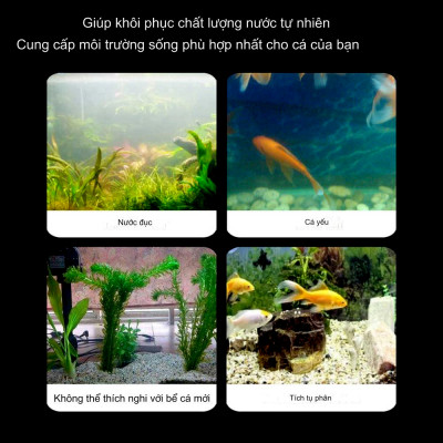 100Gr Sứ Lọc Viên Bi Tròn Vàng vật liệu lọc nước hồ bể cá cảnh siêu sạch