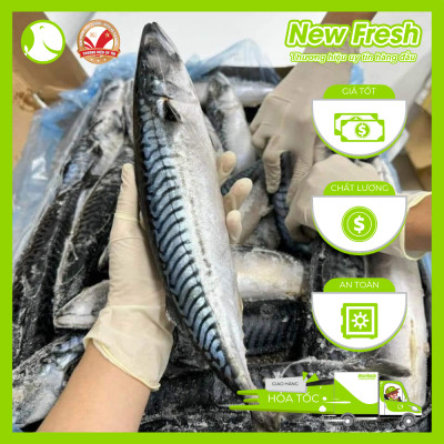 Cá Saba Nauy Nguyên Con - Túi 1Kg