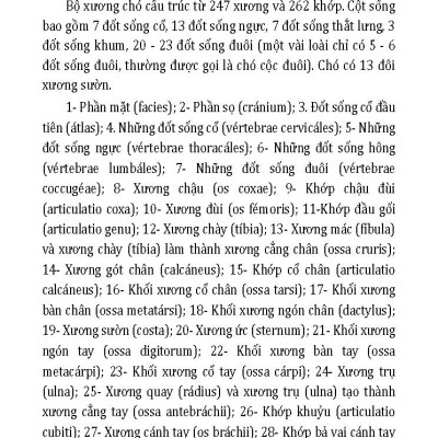 Nuôi Chó Mèo Và Nguy Cơ Lây Nhiễm Bệnh Từ Chó Mèo (Tái bản 2025)