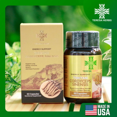 Combo viên uống thảo dược (kết hợp Đông Trùng Hạ Thảo + Nấm Vân Chi) - Giúp Bổ phổi, Bổ Thận, Tăng cường đề kháng và hệ miễn dịch