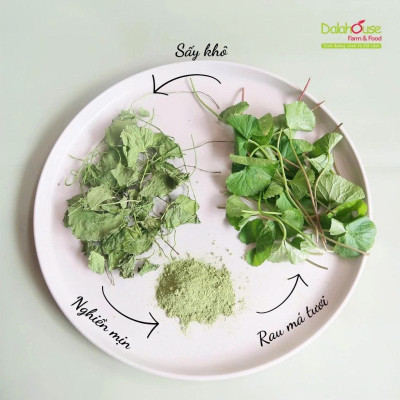 Bột Rau Má Hữu Cơ Nguyên Chất Sấy Lạnh Dalahouse - Thải Độc, Mát Gan, Lợi Tiểu, Giúp Hạ Sốt, Hỗ Trợ Giảm Mụn Nhọt, Rôm Sấy, An Thần, Cải Thiện Trí Nhớ, Hỗ Trợ Tiêu Hóa, Giảm Sẹo Lồi, Giảm Thâm, Đẹp Da, Tăng Cường Hệ Miễn Dịch, Phòng Ngừa Táo Bón