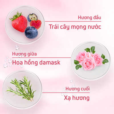 Nước hoa nữ adopt Absolu D