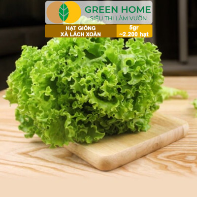 Hạt Giống Xà Lách Xoăn Greenhome, Gói 5gr~2200 hạt, Dễ Trồng Quanh Năm, Thu Hoạch Nhanh, Năng Suất Cao R21
