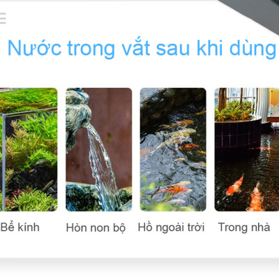 TN2B Seaweed - Thuốc Diệt Ký Sinh Trùng Ở Cá & Diệt Khuẩn, Rêu Tảo Trong Nước 100ml Loại Tốt