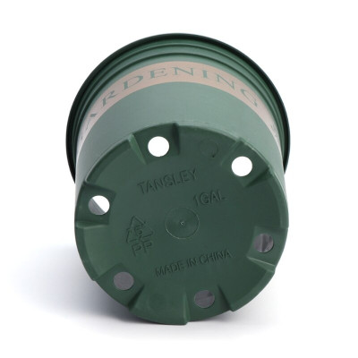 Châu nhựa Monrovia - cao 20cm - đường kính 20cm - Cây giả, hoa lụa Decor trang trí nhà cửa