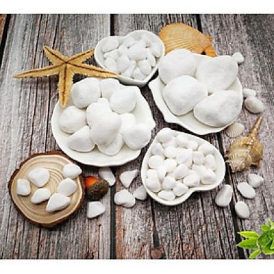 500g Sỏi trắng dải trang trí chậu cây, bể cá - Cây giả, hoa lụa Decor trang trí nhà cửa