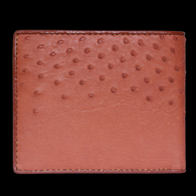  Ví nam da đà điểu da bụng nhiều màu HJ92405-06-07-14-19-32