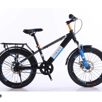 Xe đạp địa hình trẻ em cỡ bánh 20 Vicky VIC120 - Hàng chính hãng