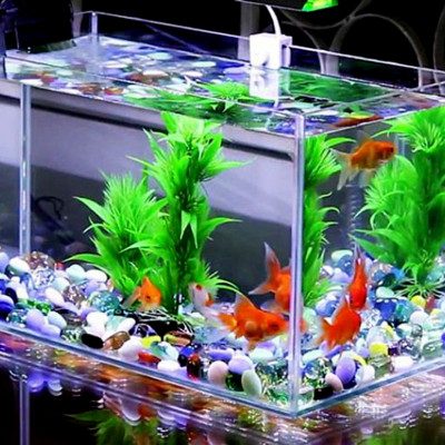 Men Tiêu Hóa TN 50Gr làm hấp thụ thức ăn tốt dùng cho tôm cua cá, hải sản, ếch rùa, lươn, cá sấu ... 