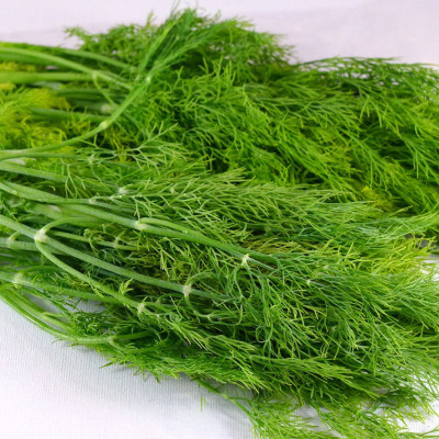 Hạt giống Thì Là bốn mùa VTS83