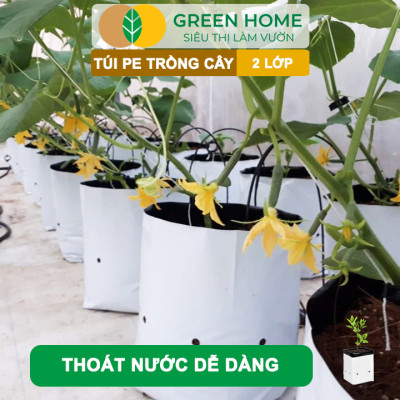 10 Túi Trồng Cây GreenHome, PE 2 Lớp, 17x33CM, Chống UV, Tiện Lợi, Độ Bền 1,5 Năm, Trồng Rau, Hoa