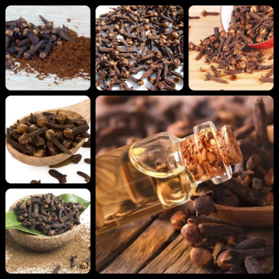 Tinh dầu Đinh hương 100ml nguyên chất từ thiên nhiên - Mộc Mây