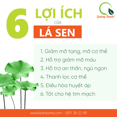 Bột Lá Sen Sấy Lạnh Nguyên Chất Quảng Thanh Hộp 45g  - Ngủ ngon, giảm mỡ máu, giảm cân, mát gan, mờ nám, tàn nhang, đẹp da
