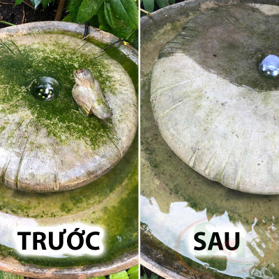 Bột tẩy rửa API Pond & Waterfall Cleaner xử lý cặn bẩn thác nước đài phun ao hồ bể cá tép thủy sinh