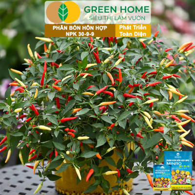 Phân NPK 30-9-9 +TE Greenhome, Minro, Bao 200gr, Phát Triển Nhanh Thân, Cành, Lá, Bộ Rễ Trên Kiểng, Cây Ăn Trái, Củ, Quả