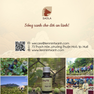 Tinh dầu Bạc hà thương hiệu Làng Hạ 10ml (Peppermint oil): Giúp thông mũi, giải cảm, lọc không khí - Hàng Chính Hãng