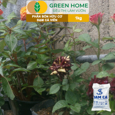 Phân Đạm Cá Greenhome, Bao 1kg, Viên Nén, Hữu Cơ Vi Sinh Bón Rau, Quả