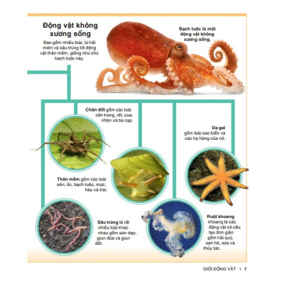 Tri Thức Trong Lòng Bàn Tay - Bách Khoa Thiếu Nhi Động Vật (Sách Bản Quyền)