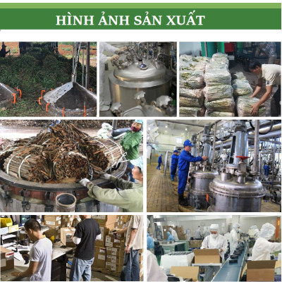 Tinh dầu Hoa Phong Lữ nguyên chất 100% từ thiên nhiên, xông phòng, khử mùi, thơm phòng, đuổi muỗi, thư giản - KingOil