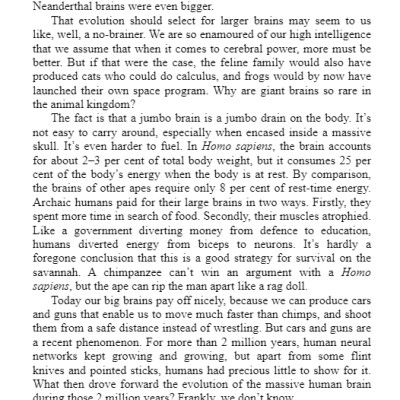 Sapiens : A Brief History of Humankind (Paperback)