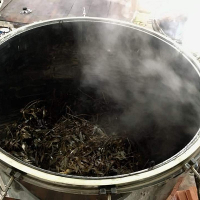 Tinh dầu Tràm Organic hữu cơ 50ml Mộc Mây - tinh dầu thiên nhiên nguyên chất 100% - dùng xông tắm ngừa cảm lạnh, giảm côn trùng cắn đốt cho Bé, Trẻ sơ sinh và Trẻ nhỏ | An toàn cho làn da nhạy cảm của Bé