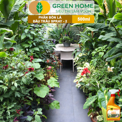 Phân Bón Lá Đầu Trâu Spray-2 Greenhome, Bình Điền, Chai 500ml, Kích Thích Ra Hoa, Chuyên Lan Và Hoa