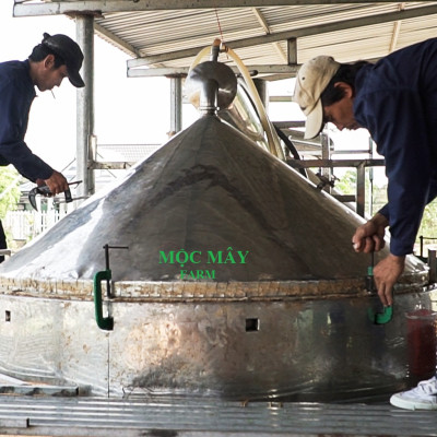 Tinh dầu hoa Hồng 100ml Mộc Mây - tinh dầu thiên nhiên nguyên chất 100% - chất lượng và mùi hương vượt trội