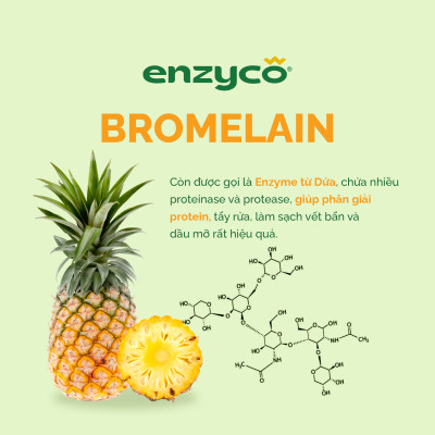 Nước giặt sinh học ENZYCO 2L - Chiết xuất Bồ hòn và Enzyme Dứa
