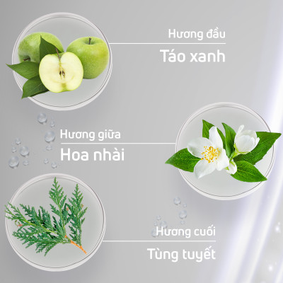 Nước hoa chính hãng,nước hoa adopt Poivre Noir Jasmin hương thơm ấm áp phong cách trẻ trung nam tính dung tích 30ml