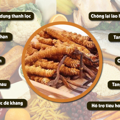 Thực phẩm bảo vệ sức khỏe Đông trùng hạ thảo ALLTIMES CARE PLATINUM CORDYCEPS - Hộp 60 viên