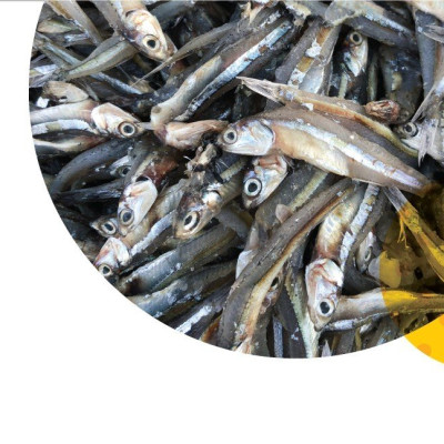 Nước Mắm Cốt Phú Quốc - Quốc Vị Độ Đạm 40N Chai Thủy Tinh 520ml Cá Cơm