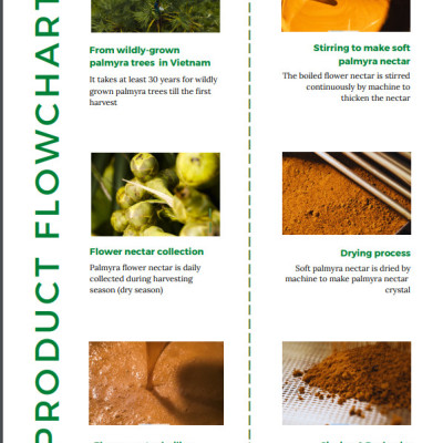 PALMANIA Mật thốt nốt bột 1000G | 2 sao Great Taste Awards 2020 | Nguyên Chất, Tự Nhiên & Vì Sức Khỏe | Đặc sản An Giang