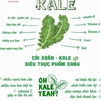 Bột cải xoăn hữu cơ sấy lạnh Dalahouse - Hộp 20 gói 3gr tiện lợi - Đào thải độc tố, chống ô xy hóa, bổ sung can xi hữu cơ cho cơ thể