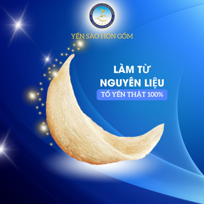 [Hộp 1 Hũ] Tổ Yến Sào Chưng Đường Phèn - Yến Sào Hòn Gốm Chính Hiệu Khánh Hoà - HGK NEST