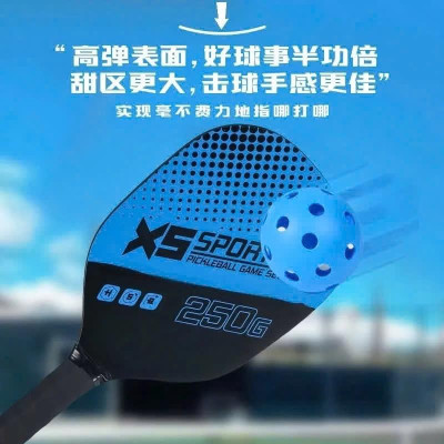 Bộ vợt 2 pickleball Và 4 Quả Bóng Pickleball Kèm túi đựng Phụ Kiện Thể Thao