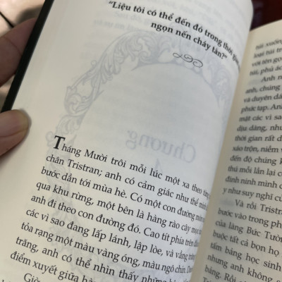 BỤI SAO – Neil Gaiman – Huyền Vũ dịch – Nhã Nam – NXB Hà Nội (Bìa mềm)