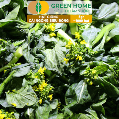 Hạt Giống Cải Ngồng Siêu Bông Huge GreenHome, Gói 5gr~1000 hạt, Dễ Trồng Quanh Năm, Thân Mập R25