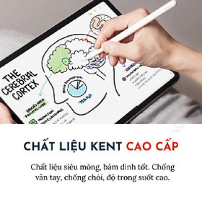 Dán màn hình dành cho iPad Mini 7 , iPad Mini 6 Paper-like Version 2 chống vân tay cho cảm giác vẽ như trên giấy - Hàng Chính Hãng