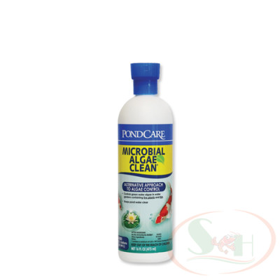 Xử lý tảo API Microbial Algae Clean vi sinh phân hủy mùn bã cặn nước xanh bể cá tép