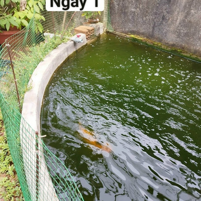 Đèn UV 150W AQUA SUV+ Diệt Khuẩn, Rêu Tảo Hồ Cá Koi , Xử Lý Nước Thải, Nước Sinh Hoạt Trong 7 Ngày