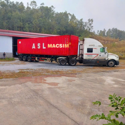 Thảm sd3 lót cốp Vinfast VF3 Nhãn hiệu Macsim