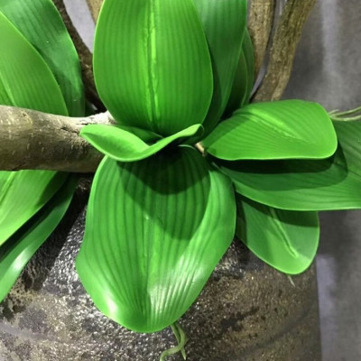 Lá lan hồ điệp giả giống thật 99% - 1 cụm gồm 5 lá - dài 27cm - Cây giả, hoa lụa Decor trang trí nhà cửa