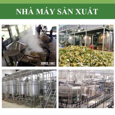 Tinh dầu Bưởi Da Xanh 50ml nguyên chất từ vỏ bưởi thiên nhiên, xông phòng, khử mùi, thơm phòng, đuổi muỗi - KingOil