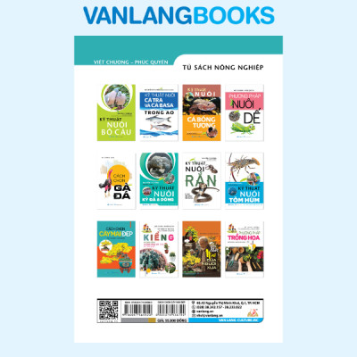 Cách Chọn Cây Mai Đẹp -  Vanlangbooks